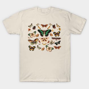 Moths Cottagecore Countrycore Goblincore Butterflies T-Shirt